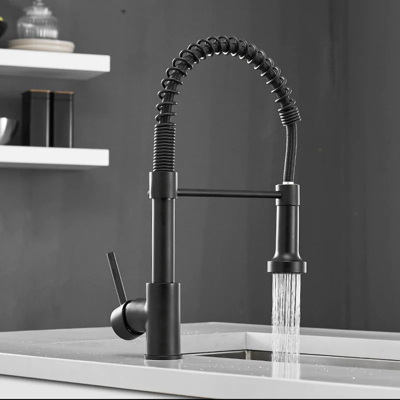 Telford - Grifo de cocina extraíble de un solo orificio con caño extraíble de agua de manantial
