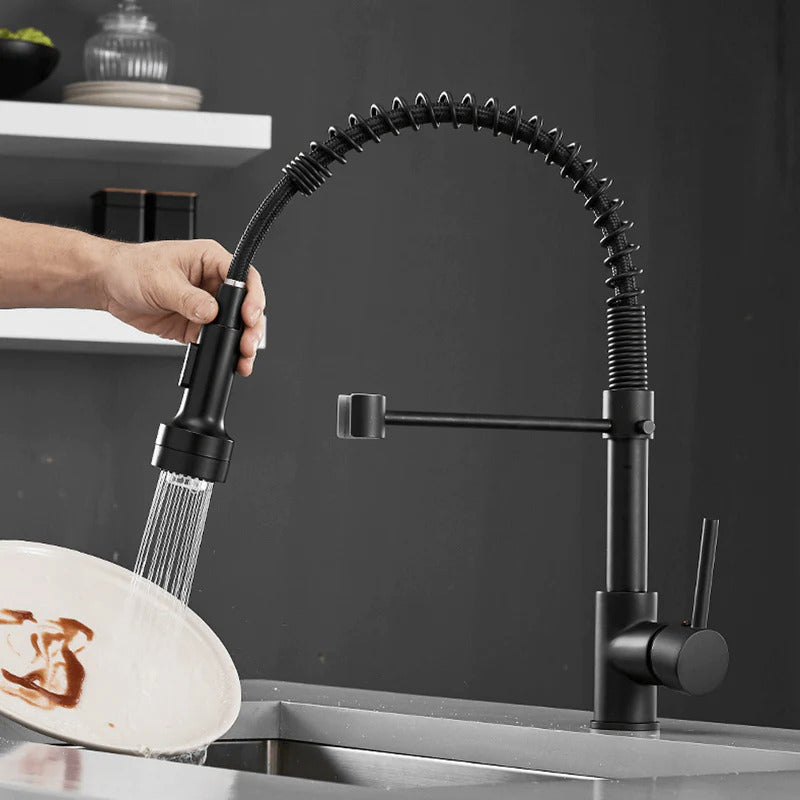 Telford - Grifo de cocina extraíble de un solo orificio con caño extraíble de agua de manantial