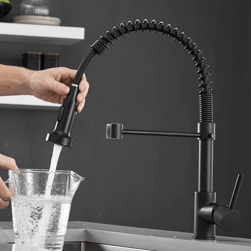 Telford - Grifo de cocina extraíble de un solo orificio con caño extraíble de agua de manantial