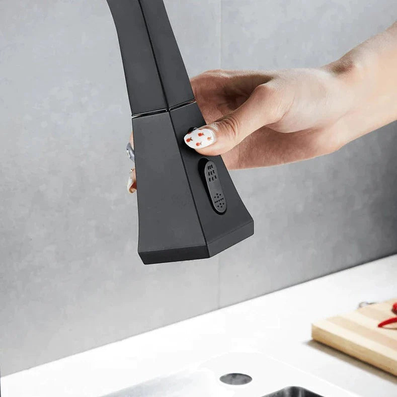 Grifo de cocina extraíble moderno