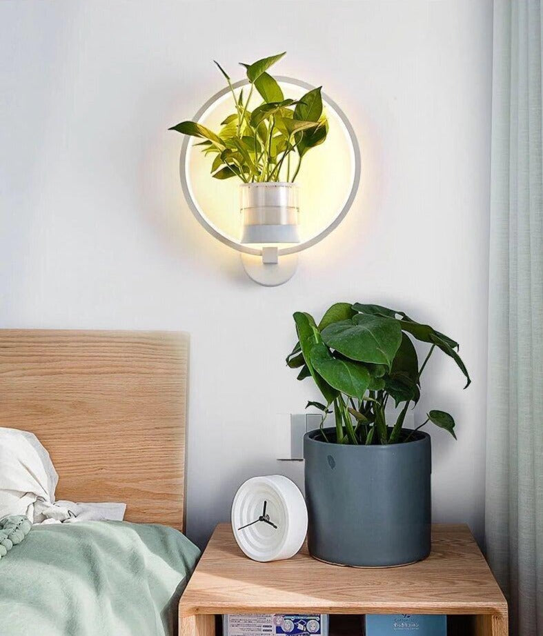 white bedside wall sconce with planter for plants and succulents