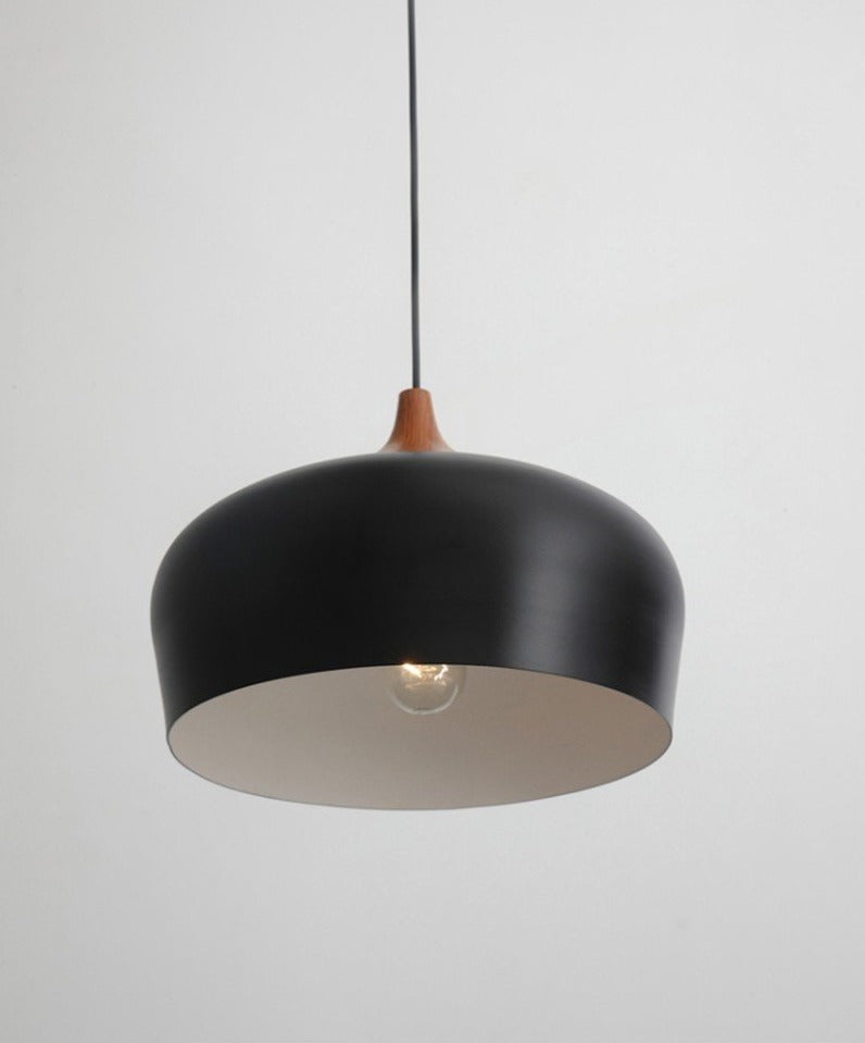 Scandinavian Black Hanging Pendant Lamp Ceiling Mount
