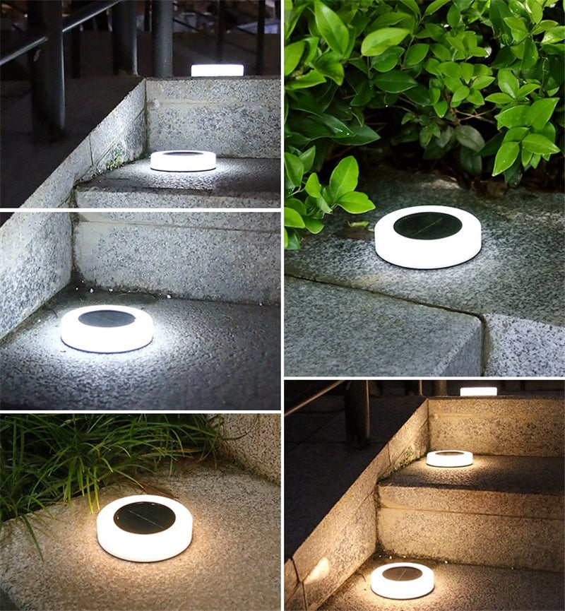 Solar LED Pathway Lights