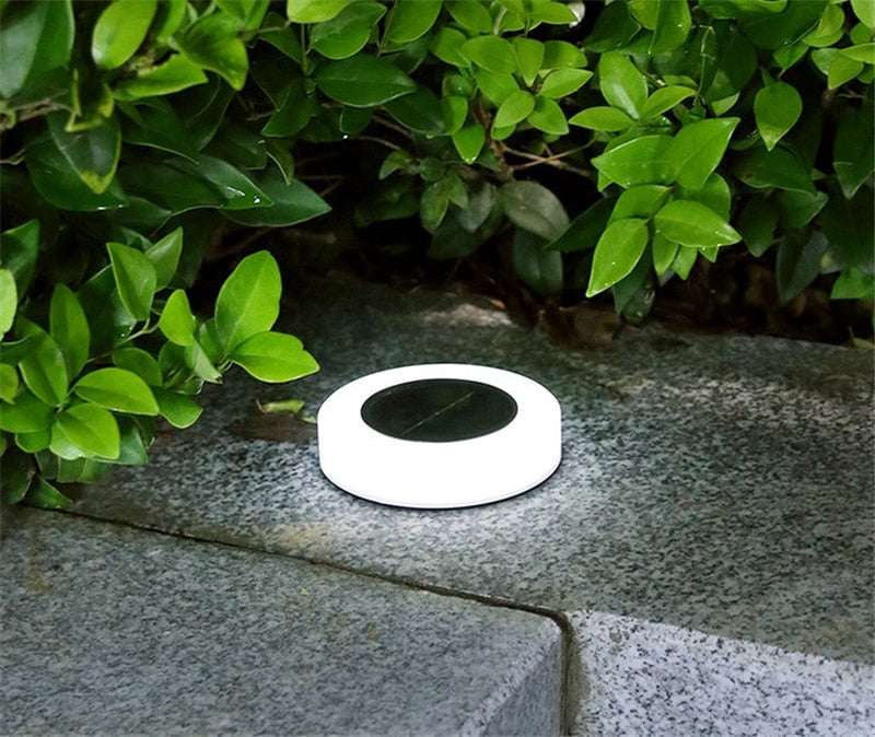 Solar LED Pathway Lights for Outdoors