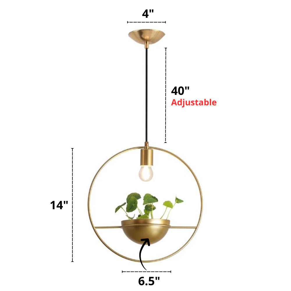 Modern Pendant Planter Light Dimensions