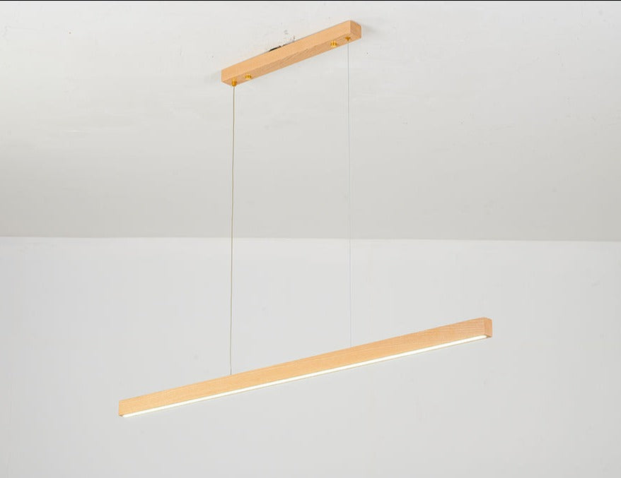 Slim LED Light Fixture