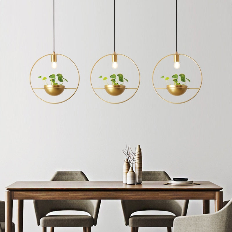 Modern Planter Pendant Light