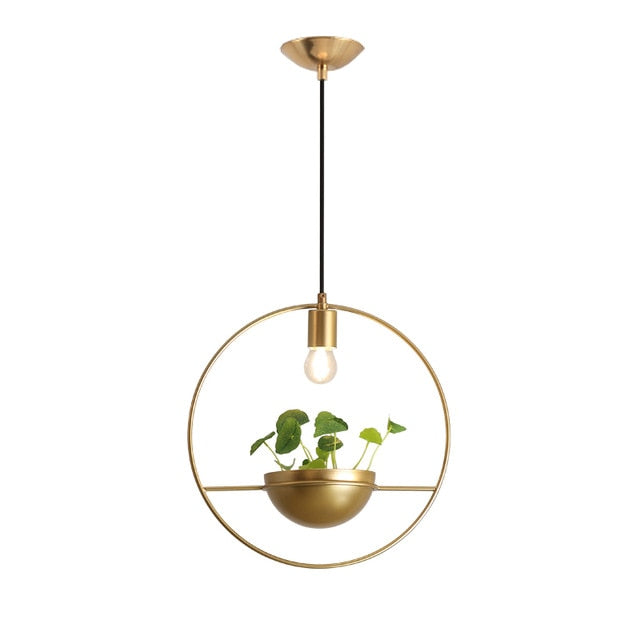 Modern Planter Pendant Light