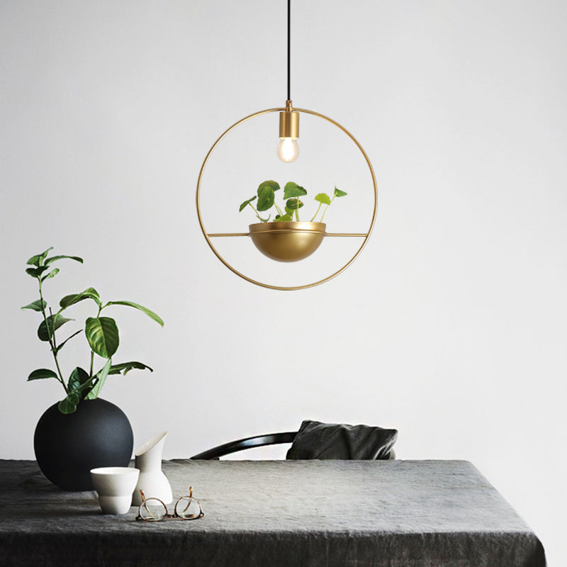 Modern Planter Pendant Light