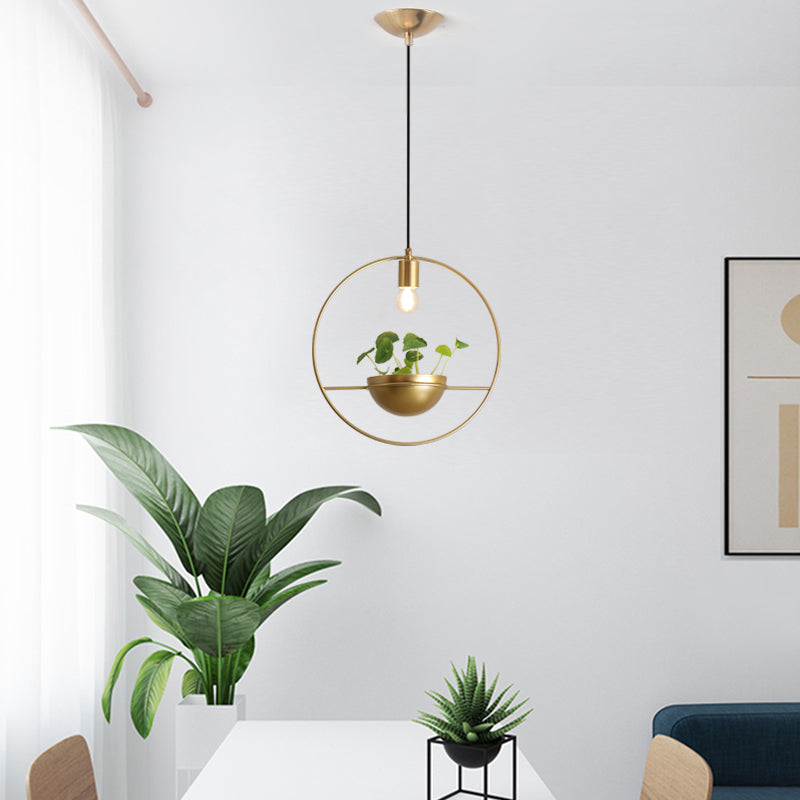 Modern Planter Pendant Light