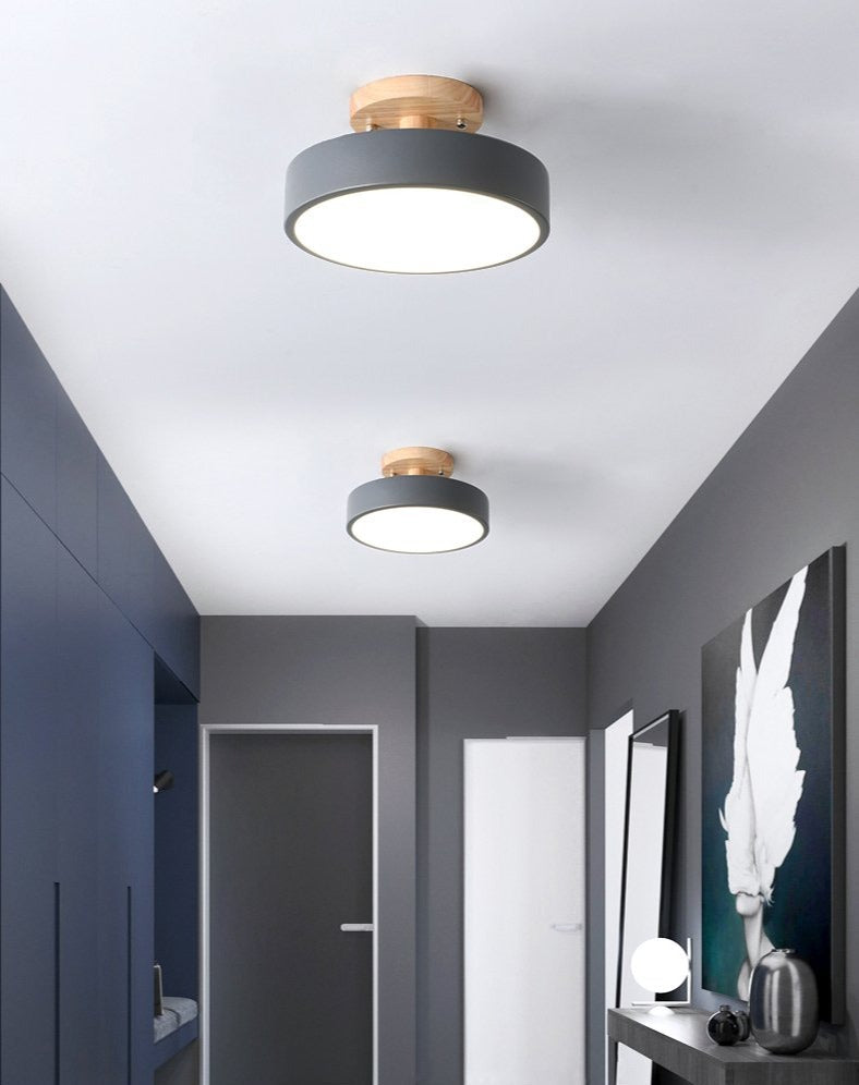 Colorful Nordic LED Ceiling Light in Gray